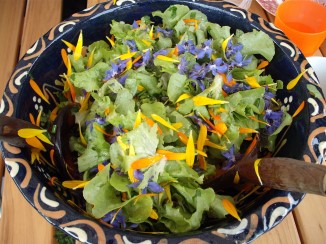 Wildkr�utersalat